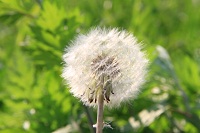 IMG_6281.jpg