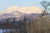 IMG_1680.jpg