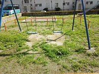 003.jpg