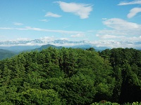 DSC_0072.jpg