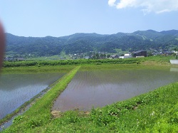 IMG_20180603_122542.jpg
