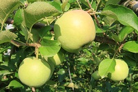 IMG_6748.jpg