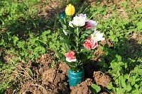 IMG_6638.JPG