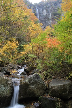 IMG_8971.JPG