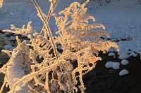 IMG_0665.jpg