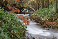 IMG_5835.jpg