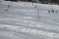 IMG_6505.jpg