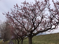 IMG_1468.JPG