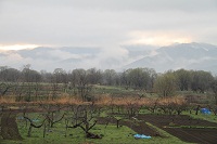 IMG_4562.jpg