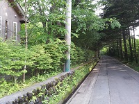 003.jpg