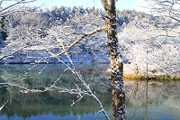 IMG_9955.jpg