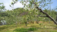 DSC_0037.JPG
