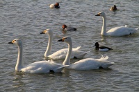 IMG_4064.jpg