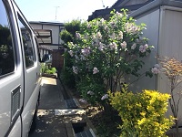 IMG_1501.JPG