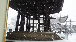 DSC_0001.JPG