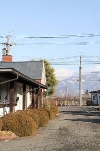 IMG_3762.jpg