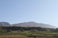 IMG_5446.jpg