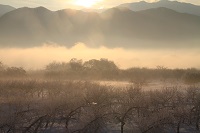 IMG_1633.jpg