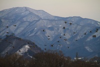 IMG_3908.jpg