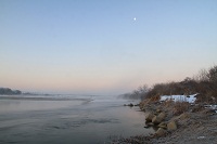 IMG_1528.jpg