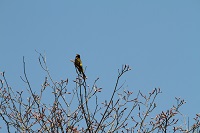 IMG_5464.jpg