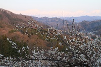 IMG_7325.jpg