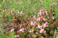 IMG_1462.JPG