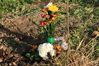 IMG_2530.JPG