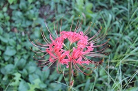 IMG_3875.JPG