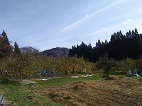 IMG_20161126_135516.jpg