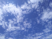 IMG_20170713_093014.jpg