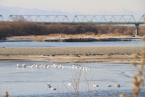 IMG_3863.jpg