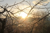 IMG_1142.jpg