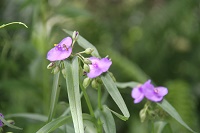 IMG_0777.JPG