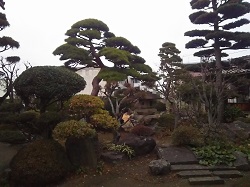 DSC_9741.JPG