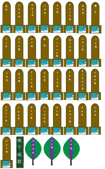 200.jpg