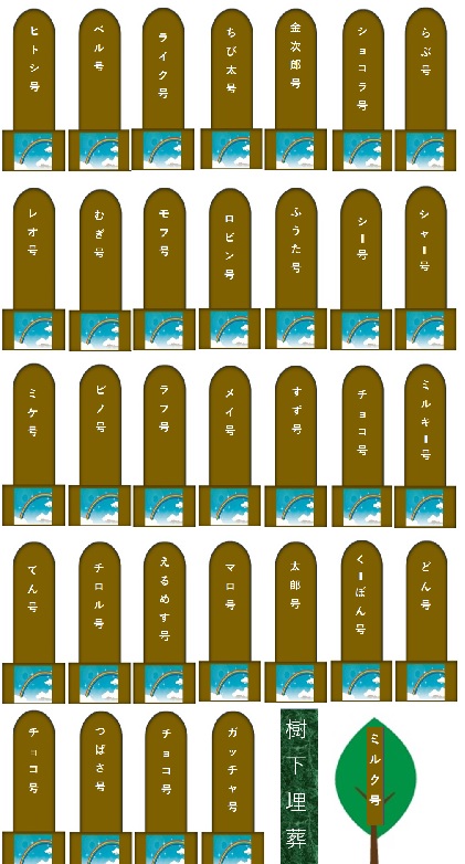 2000.jpg