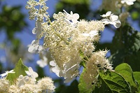IMG_6813.jpg