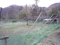 005.jpg