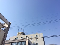 IMG_1334.JPG