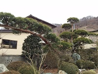 image1.JPG