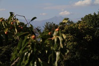 IMG_2098.JPG