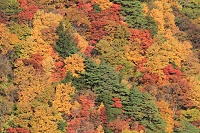 IMG_9287.JPG