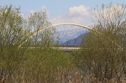 IMG_2900.JPG