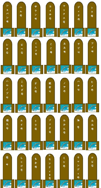 100.jpg