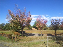 IMG_20181006_074949.jpg