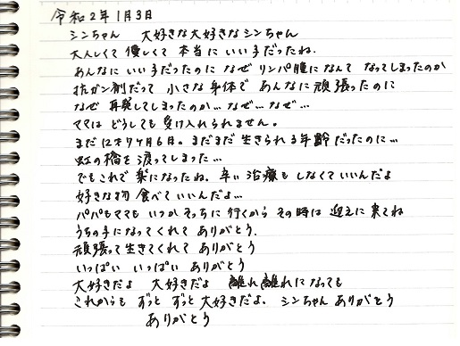 004.jpg