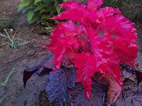 20120730_185424.jpg
