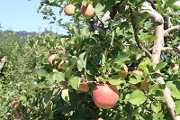 IMG_5358.jpg