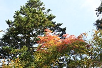IMG_7842.JPG